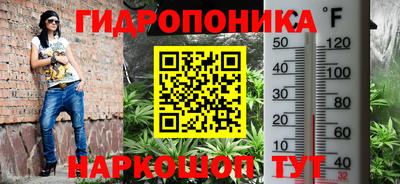 прущие грибы Кулебаки