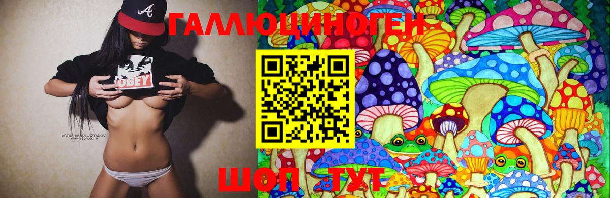 Галлюциногенные грибы GOLDEN TEACHER  Галлюциногенные грибы Psilocybine cubensis  Донской  Вход с VPN 