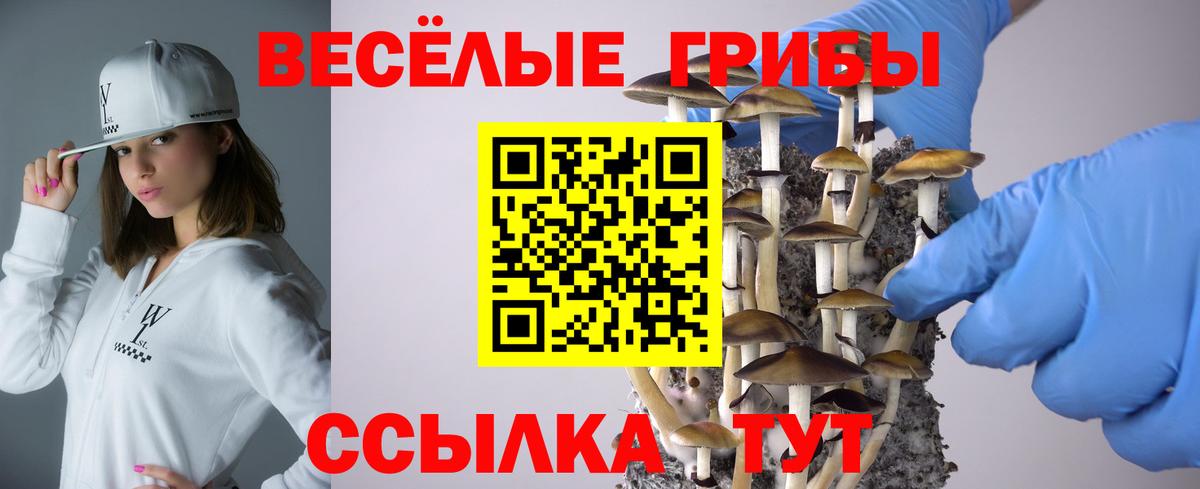 Псилоцибиновые грибы мицелий Донской